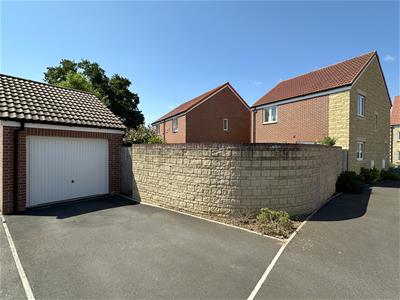 Picture 19